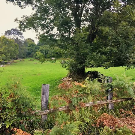 Sol De Asturias Casa de Férias *
