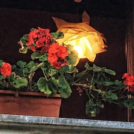 Casa de Férias Sol De Asturias *