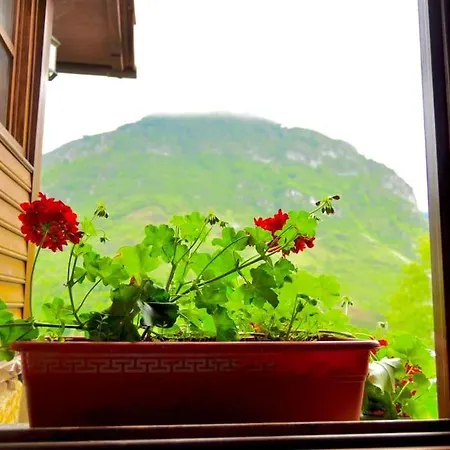 Casa de Férias Sol De Asturias Cazo