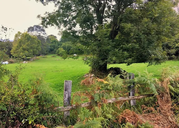 Sol De Asturias Holiday home *