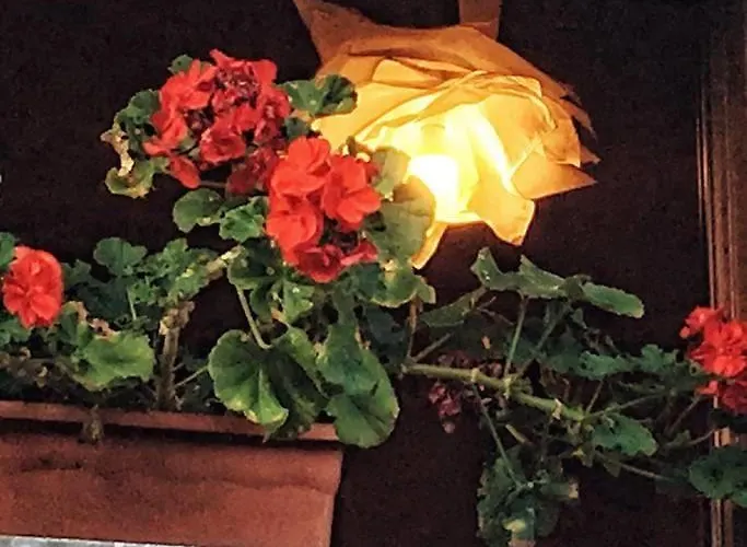 Holiday home Sol De Asturias *